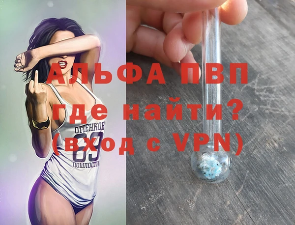 прущие грибы Михайлов