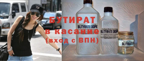 прущие грибы Михайлов
