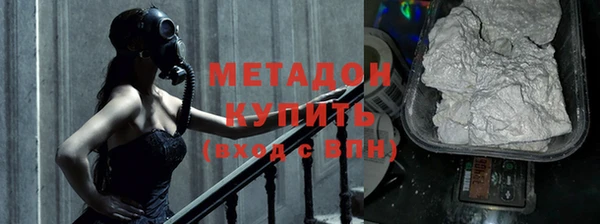 прущие грибы Михайлов