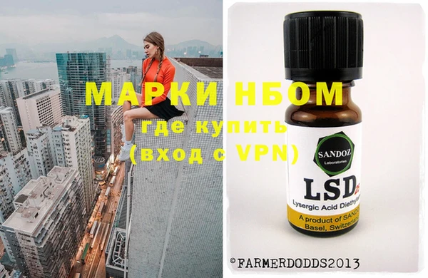 хмурый Михайловск