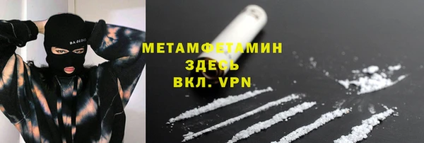 прущие грибы Михайлов
