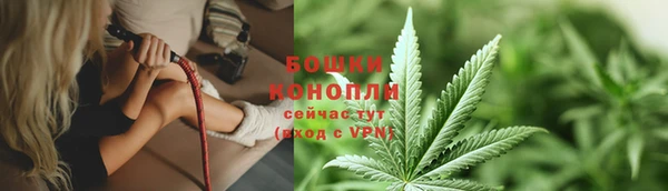 эйфоретик Богородск