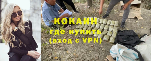 хмурый Михайловск
