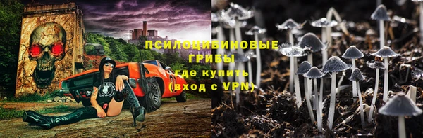 прущие грибы Михайлов