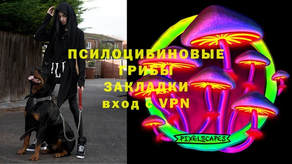 хмурый Михайловск
