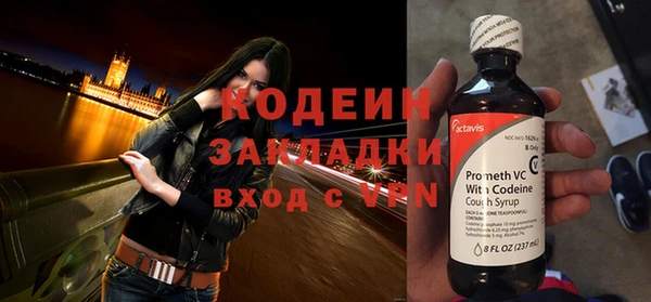 хмурый Михайловск