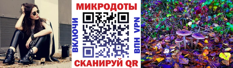 Галлюциногенные грибы Psilocybe  Орск 